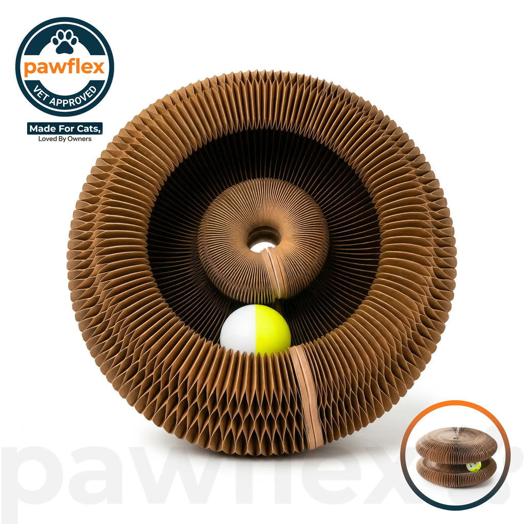 Pawflex™ Paw Relief