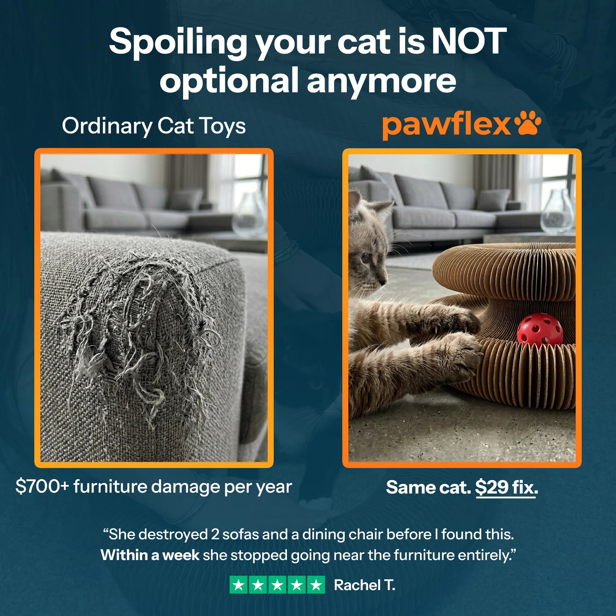 Pawflex™ Paw Relief