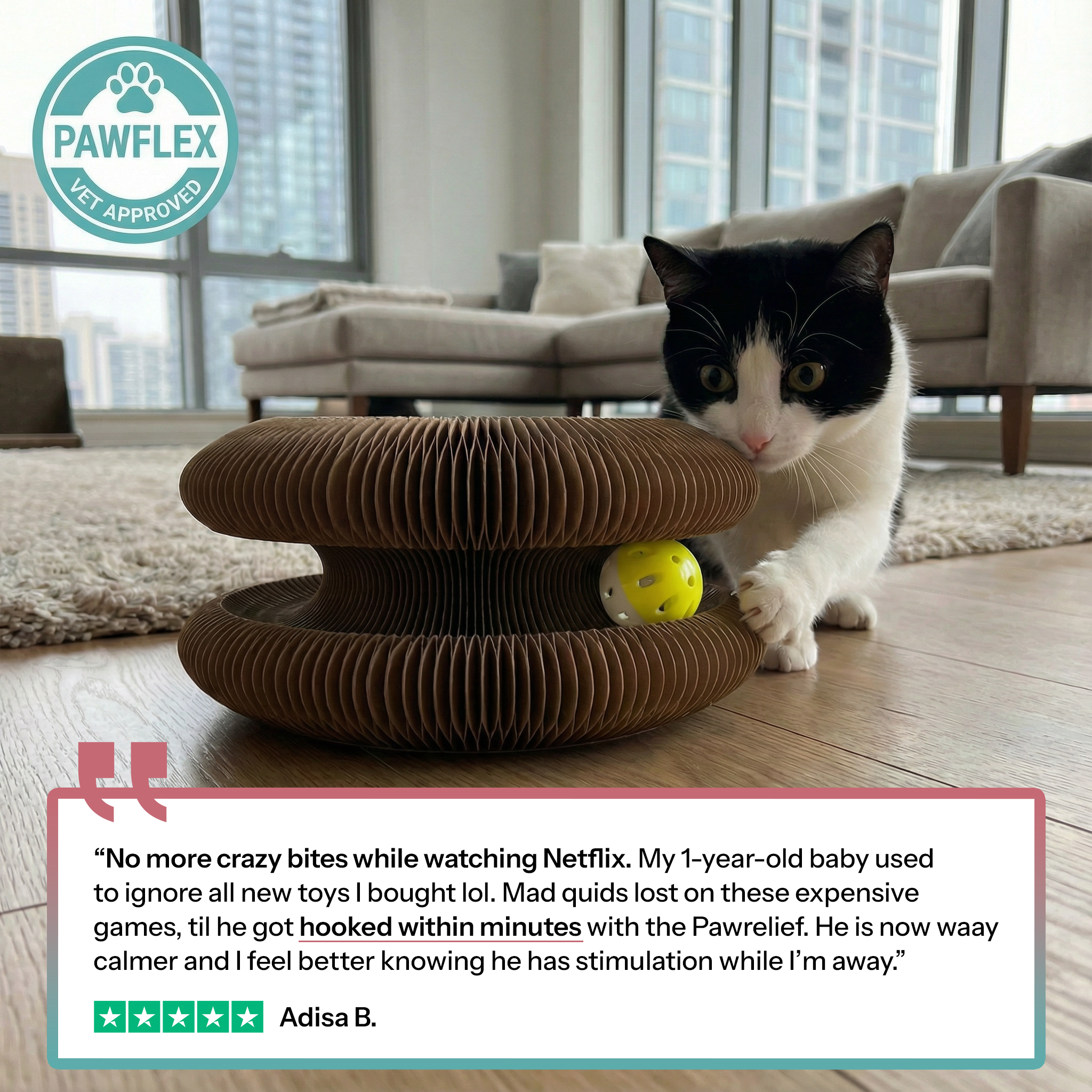 Pawflex™ Paw Relief 2