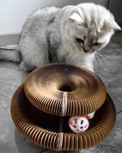 Happy Pawflex cat