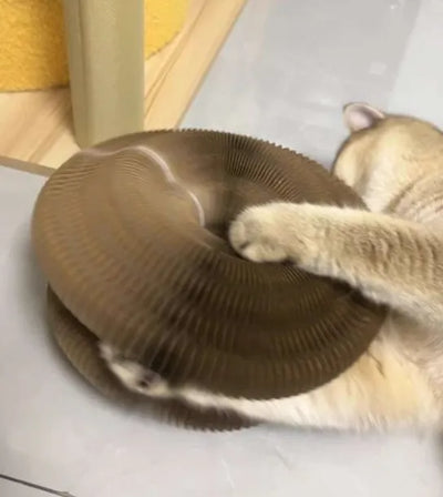 Happy Pawflex cat