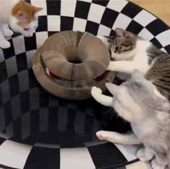 Happy Pawflex cat