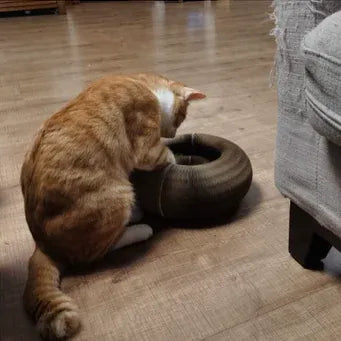 Happy Pawflex cat