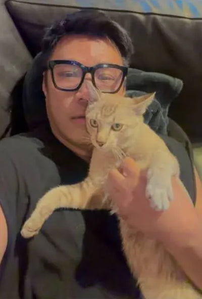 Happy Pawflex cat