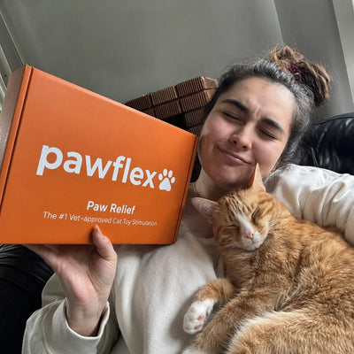 Happy Pawflex cat